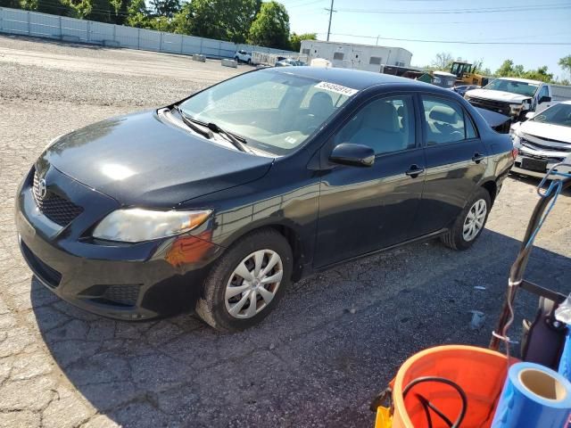 2010 Toyota Corolla Base