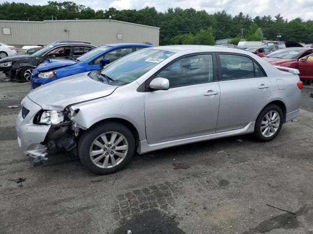 2010 Toyota Corolla Base