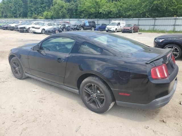 2010 Ford Mustang