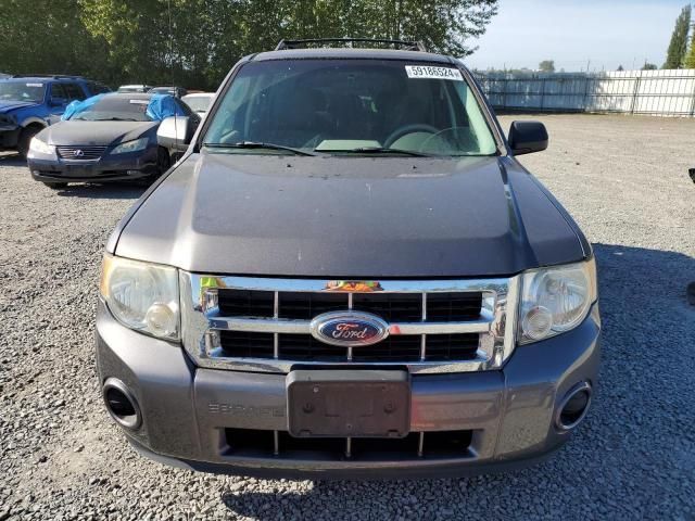 2009 Ford Escape XLS