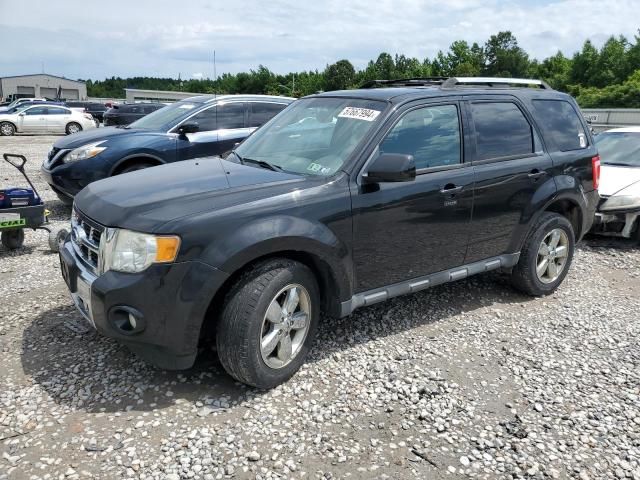 2011 Ford Escape Limited