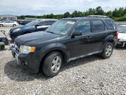 2011 Ford Escape Limited for sale in Memphis, TN
