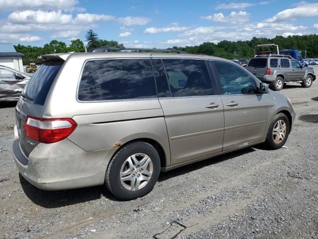 2005 Honda Odyssey EXL