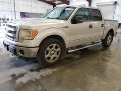 2014 Ford F150 Supercrew for sale in Avon, MN