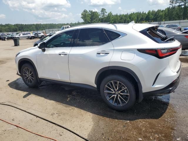 2024 Lexus NX 350 Luxury