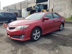 2012 Toyota Camry Base for sale in Fredericksburg, VA