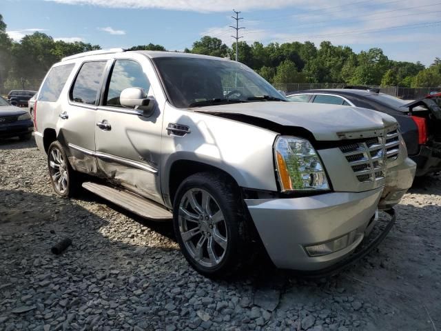 2010 Cadillac Escalade