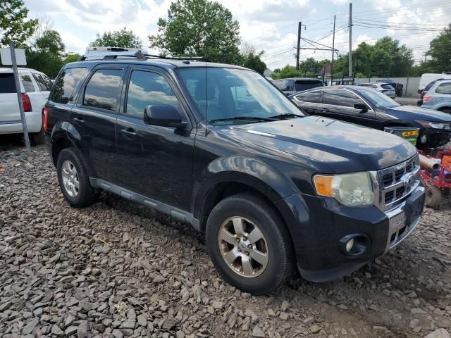 2011 Ford Escape Limited