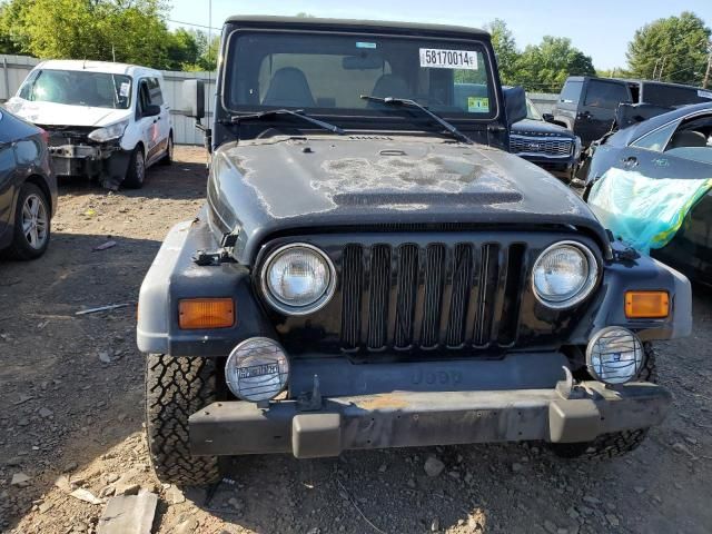 1998 Jeep Wrangler / TJ Sport