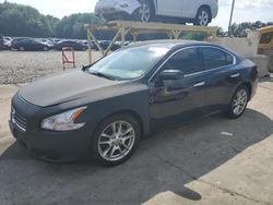 Nissan salvage cars for sale: 2009 Nissan Maxima S