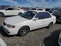 2001 Toyota Corolla CE for sale in Reno, NV