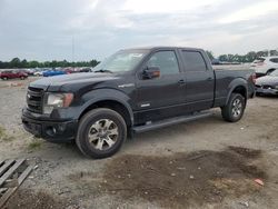 2013 Ford F150 Supercrew for sale in Fredericksburg, VA