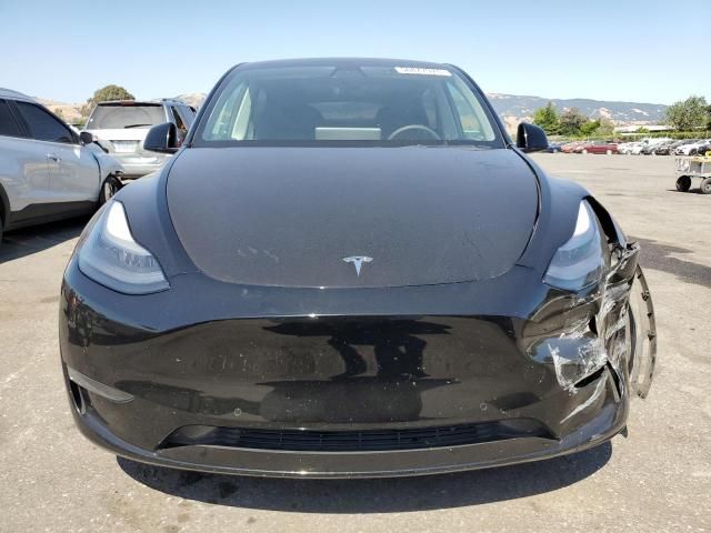 2019 Tesla Model Y