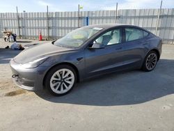 Salvage cars for sale from Copart Antelope, CA: 2023 Tesla Model 3