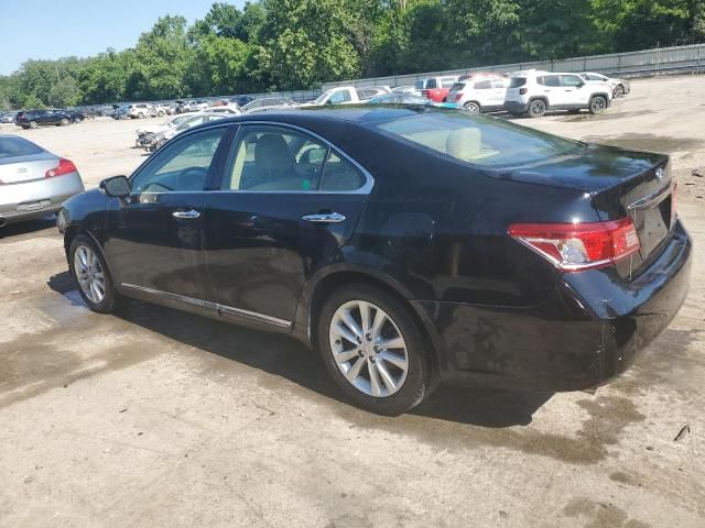 2011 Lexus ES 350