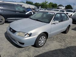 Toyota salvage cars for sale: 2001 Toyota Corolla CE