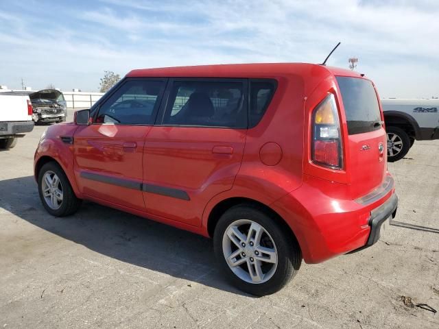 2010 KIA Soul +