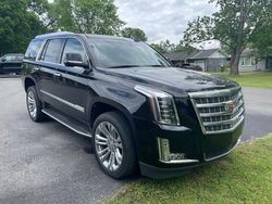 2019 Cadillac Escalade Premium Luxury for sale in Lebanon, TN