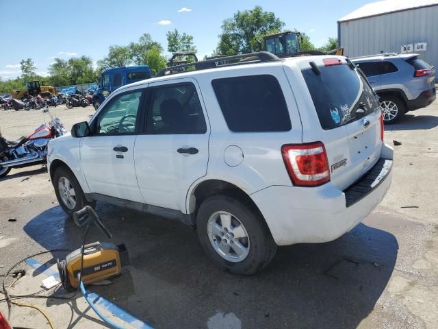 2010 Ford Escape XLT