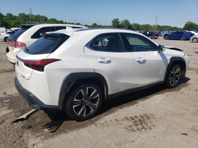 2020 Lexus UX 250H