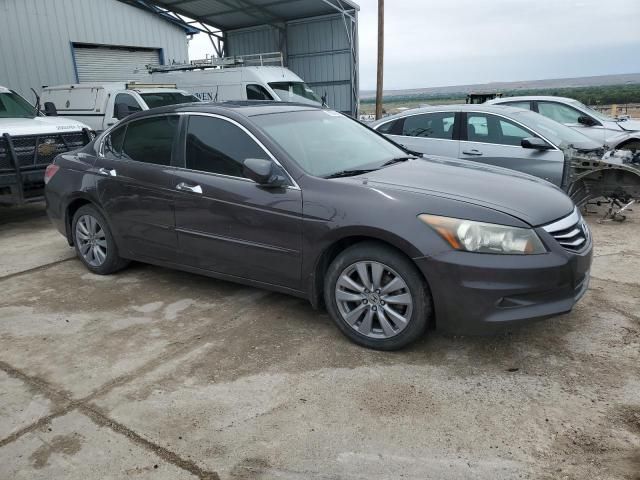 2011 Honda Accord EXL