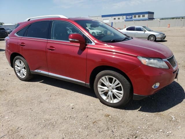 2010 Lexus RX 450