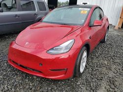 Tesla salvage cars for sale: 2023 Tesla Model Y