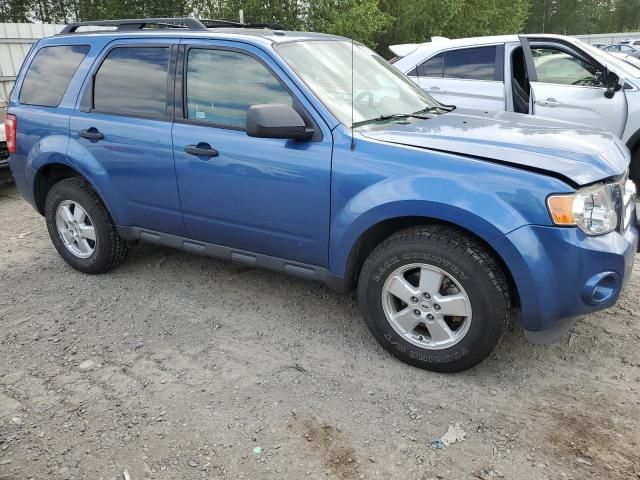 2009 Ford Escape XLT