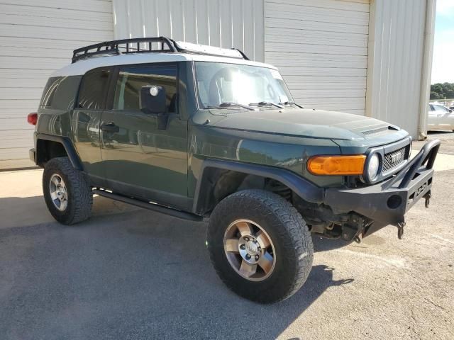 2010 Toyota FJ Cruiser