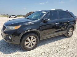 2013 KIA Sorento LX en venta en Temple, TX