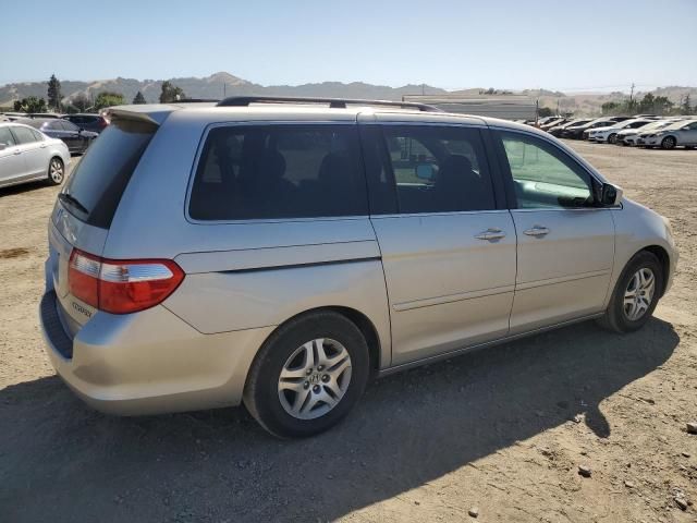 2005 Honda Odyssey EXL