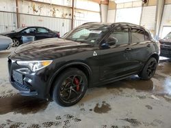 Alfa Romeo Stelvio salvage cars for sale: 2019 Alfa Romeo Stelvio Quadrifoglio