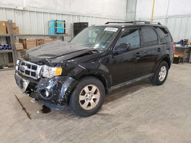 2011 Ford Escape Limited