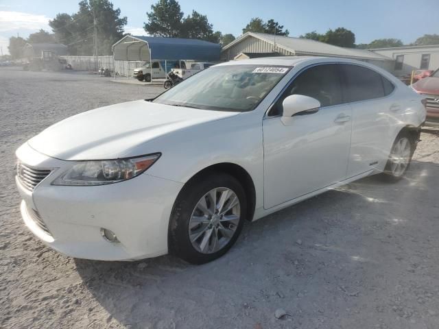 2013 Lexus ES 300H