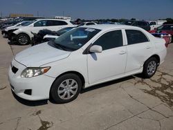 Salvage cars for sale from Copart Grand Prairie, TX: 2010 Toyota Corolla Base