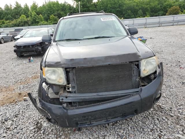 2008 Ford Escape XLT