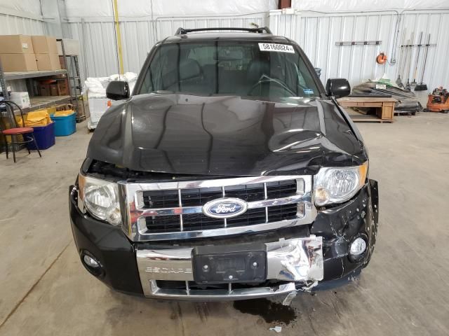 2011 Ford Escape Limited