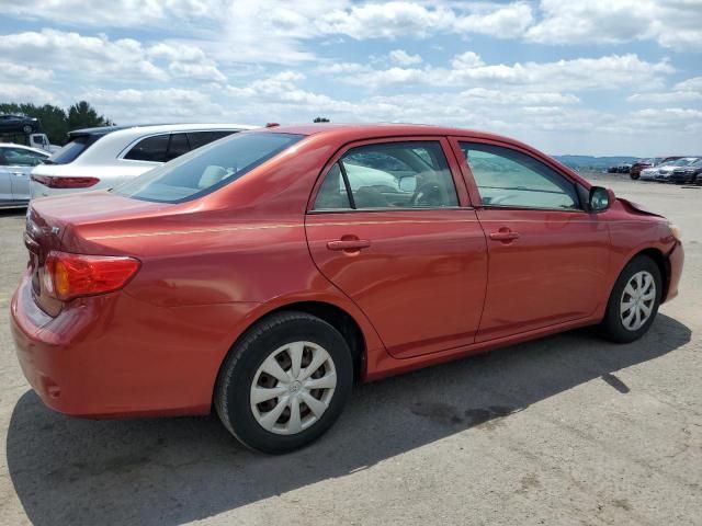 2009 Toyota Corolla Base