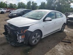 Hyundai Ioniq Limited salvage cars for sale: 2019 Hyundai Ioniq Limited