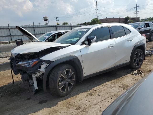 2020 Lexus UX 250H