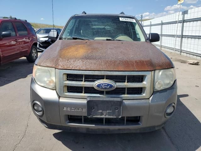 2010 Ford Escape XLT