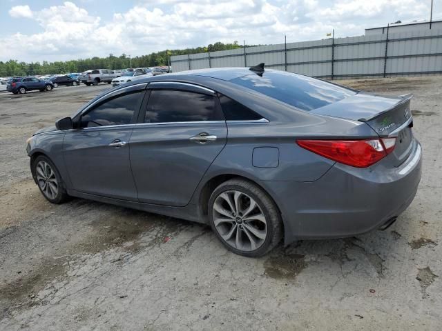 2013 Hyundai Sonata SE