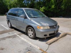 Honda Odyssey EX salvage cars for sale: 1999 Honda Odyssey EX