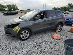 Ford Escape salvage cars for sale: 2015 Ford Escape SE