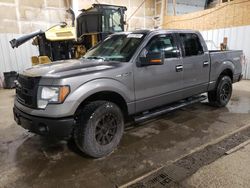 Ford salvage cars for sale: 2010 Ford F150 Supercrew