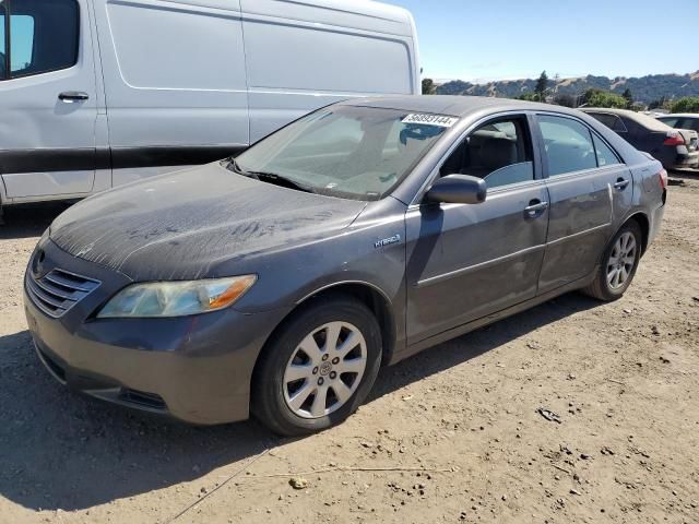 2009 Toyota Camry Hybrid