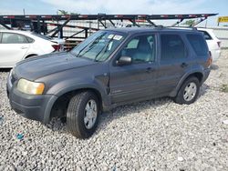 Ford Escape xlt salvage cars for sale: 2002 Ford Escape XLT