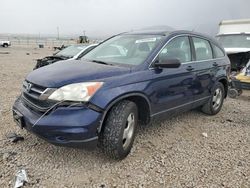 Honda salvage cars for sale: 2010 Honda CR-V LX