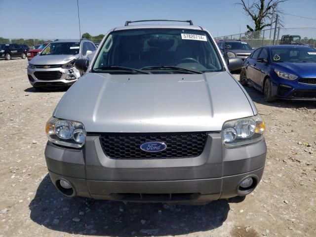 2007 Ford Escape XLT