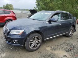 Salvage cars for sale from Copart Arlington, WA: 2017 Audi Q5 Premium